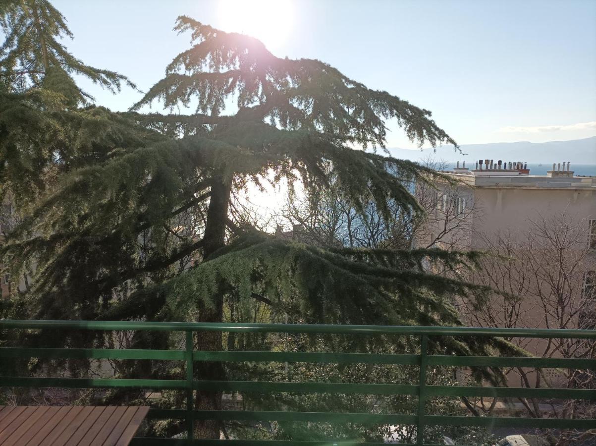 Apartman Pecine Rijeka Ngoại thất bức ảnh